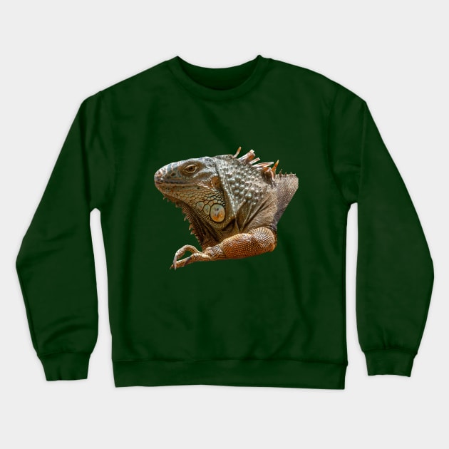 American Iguana Crewneck Sweatshirt by dalyndigaital2@gmail.com